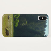 Elkweide in Redwood National Park Case-Mate iPhone Case (Achterkant (horizontaal))