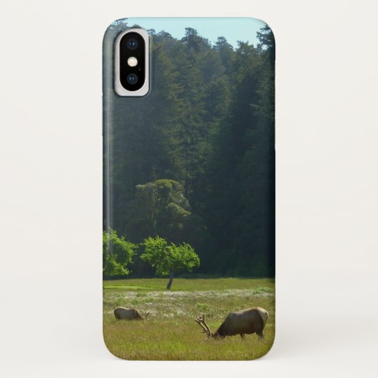 Elkweide in Redwood National Park Case-Mate iPhone Case (Achterkant)