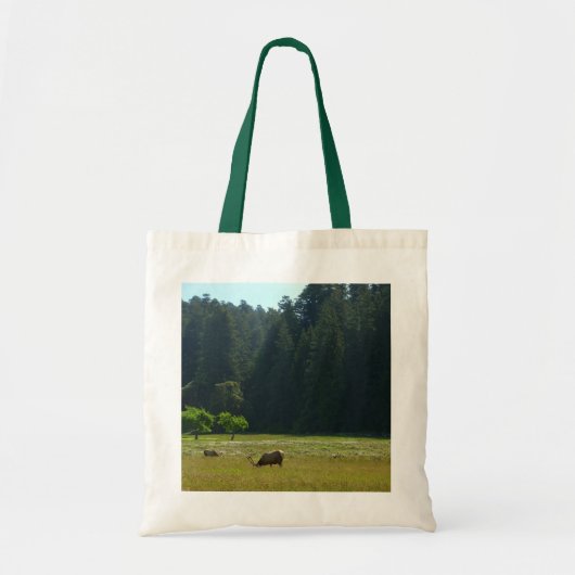 Elkweide in Redwood National Park Tote Bag (Voorkant)