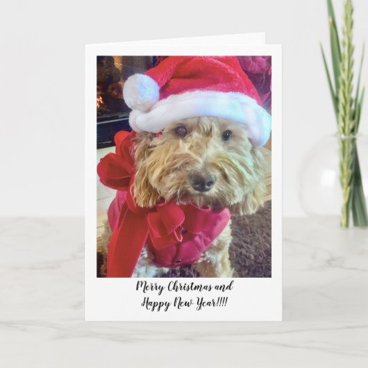 Ella Bella Banana Santa Bedankkaart (Voorkant)