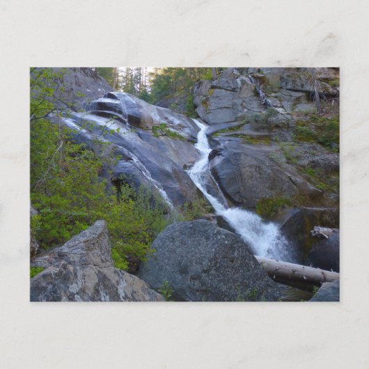 Ella Falls in Sequoia National Park Briefkaart (Voorkant)