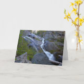 Ella Falls in Sequoia National Park Kaart (Gele Bloem)