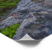 Ella Falls in Sequoia National Park Poster (Hoek)