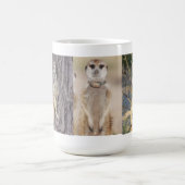 Ella Meerkat Mok (Center)