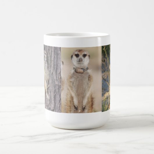 Ella Meerkat Mok (Center)