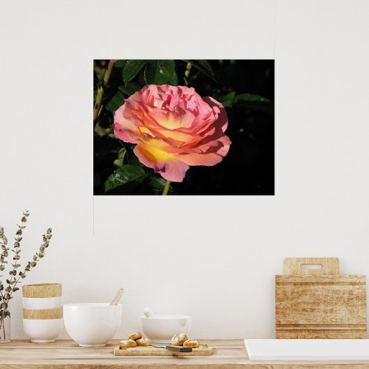 Elle Hybrid Tea Roos 152 Poster (Keuken)