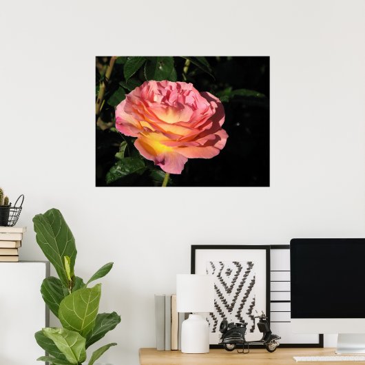 Elle Hybrid Tea Roos 152 Poster (Thuiskantoor)