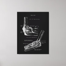 Elleboog Gewricht Anatomie Canvas Kunst