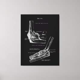 Elleboog Gewricht Anatomie Canvas Kunst