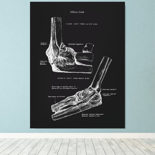 Elleboog Gewricht Anatomie Canvas Kunst (Insitu (Houten vloer))