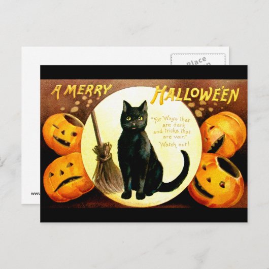 Ellen H. Clapsaddle: Halloween Cat Briefkaart (Voorkant / Achterkant)
