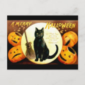 Ellen H. Clapsaddle: Halloween Cat Briefkaart (Voorkant)