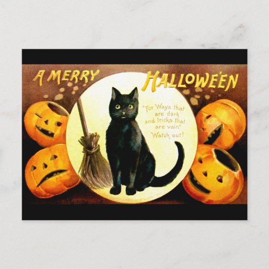 Ellen H. Clapsaddle: Halloween Cat Briefkaart (Voorkant)