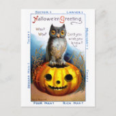 Ellen H. Clapsaddle: Halloween Owl Briefkaart (Voorkant)