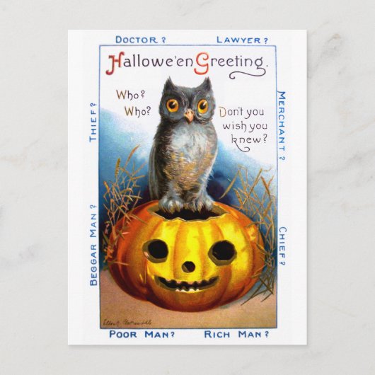 Ellen H. Clapsaddle: Halloween Owl Briefkaart (Voorkant)