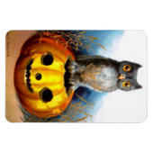Ellen H. Clapsaddle: Halloween Uil Magneet (Horizontaal)