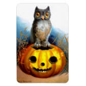 Ellen H. Clapsaddle: Halloween Uil Magneet (Verticaal)