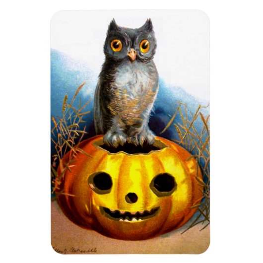 Ellen H. Clapsaddle: Halloween Uil Magneet (Verticaal)