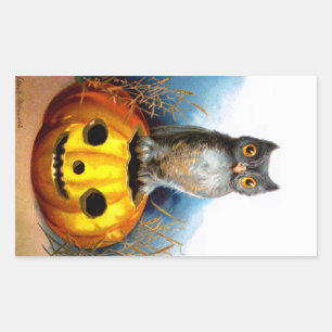 Ellen H. Clapsaddle: Halloween Uil Rechthoekige Sticker