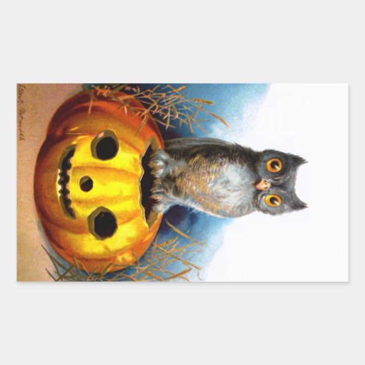 Ellen H. Clapsaddle: Halloween Uil Rechthoekige Sticker (Voorkant)