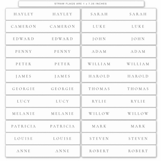 Ellesmere Plaats Kaart Stro Flags Drink Labels (Voorkant)