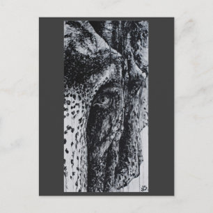 Ellie Elephant Asian Wildlife Oerwoud Animal Art Briefkaart