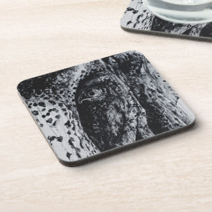 Ellie Olifant Aziatische Wilde Dieren Jungle Dier  Onderzetter