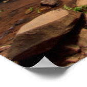 Ellinjaa waterfall, Australië Poster (Hoek)