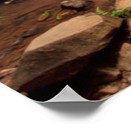 Ellinjaa waterfall, Australië Poster (Hoek)