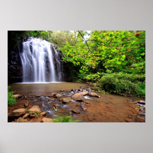 Ellinjaa waterfall, Australië Poster (Voorkant)