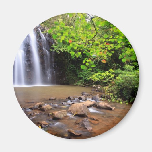 Ellinjaa-waterval, Australië Magneet (Voorkant)