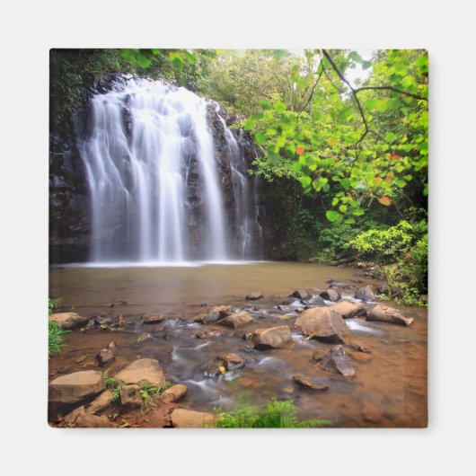 Ellinjaa-waterval, Australië Magneet (Voorkant)