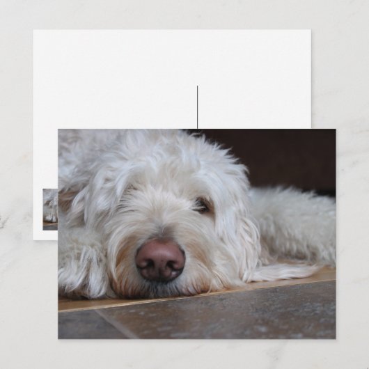 Elliot Briefkaart (Voorkant / Achterkant)