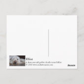 Elliot Briefkaart (Achterkant)