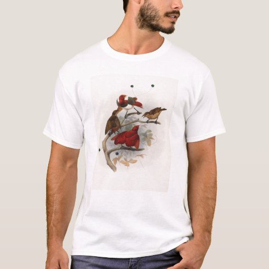 Elliot - Cicinnurus regius - Koningsvogel van het T-shirt (Voorkant)
