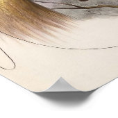 Elliot - Paradisease apoda - Grotere vogel van het Poster (Hoek)