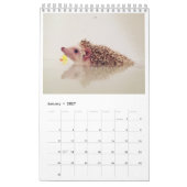 elliot van de egelkalender kalender (Jan 2027)