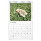 elliot van de egelkalender kalender (Mar 2027)