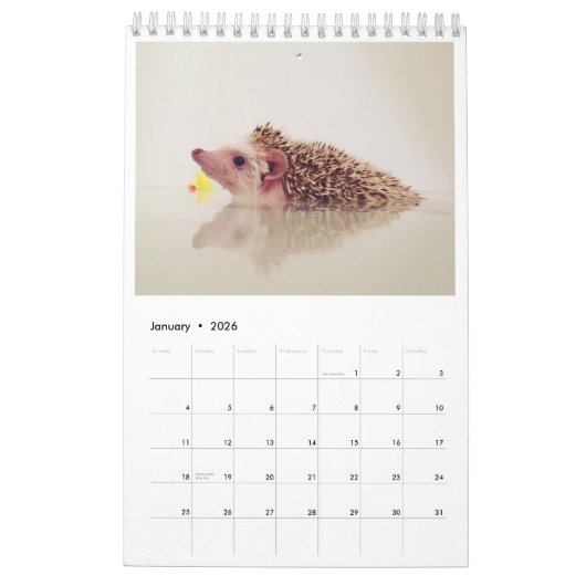elliot van de egelkalender kalender (Jan 2026)