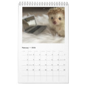 elliot van de egelkalender kalender (Feb 2026)