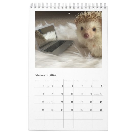 elliot van de egelkalender kalender (Feb 2026)