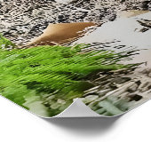 Elliot's fazant poster (Hoek)