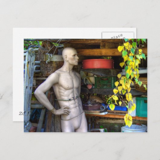 Ellis Garden III Briefkaart (Voorkant / Achterkant)