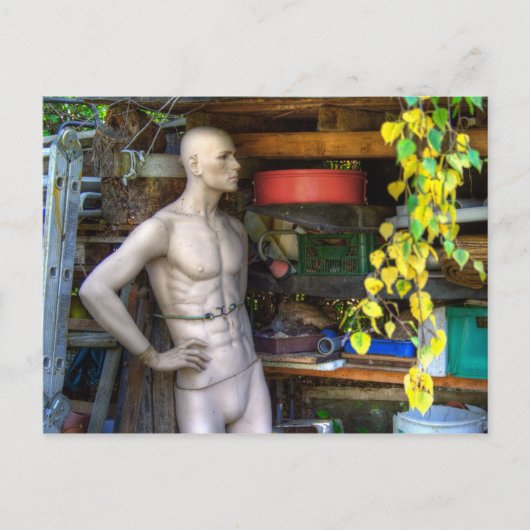 Ellis Garden III Briefkaart (Voorkant)