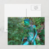 Ellis Garden VI Briefkaart (Voorkant / Achterkant)