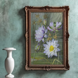 Ellis Rowan Blauw Wit Water Lelie  Bloemen Poster