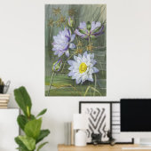 Ellis Rowan Blauw Wit Water Lelie  Bloemen Poster (Thuiskantoor)