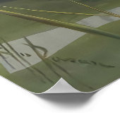 Ellis Rowan Blue Cloud Water Lily  Flowers Poster (Hoek)