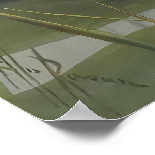 Ellis Rowan Blue Cloud Water Lily  Flowers Poster (Hoek)