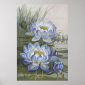 Ellis Rowan Blue Cloud Water Lily  Flowers Poster (Voorkant)